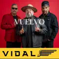 VUELVO