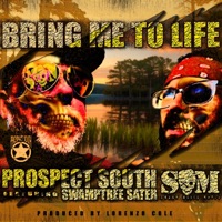 Bring Me To Life (feat. Swamptree Sater) - Single - Prospect South