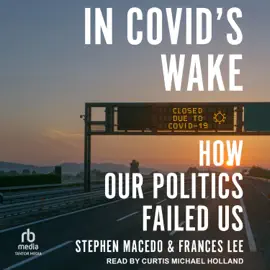 In Covid's Wake : How Our Politics Failed Us