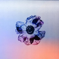 Flora - Single - Blue Wednesday