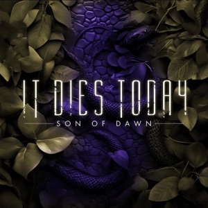 Son of Dawn - Single