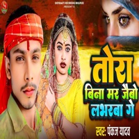Tora Bina Mar Jaibo Labharba Ge - Single - Pankaj Yadav