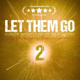Let Them Go: Guided Mindfulness Meditation (Vipassana Series): Meditation 2: Let Them Not Respond — Embracing the Silence (Let Them Go Vipassana Meditations) (Unabridged)