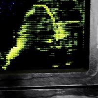 fields of bliss - Single - xo purp & stardante