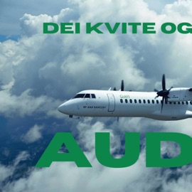 Dei Kvite og Grønne Audun