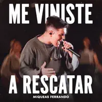 Me viniste a rescatar