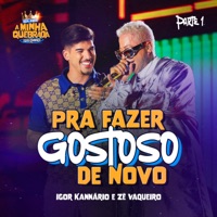 Pra Fazer Gostoso de Novo (feat. Zé Vaqueiro) - Single - Igor Kannário