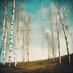 Found at Last (feat. Chris Bartels) - Single