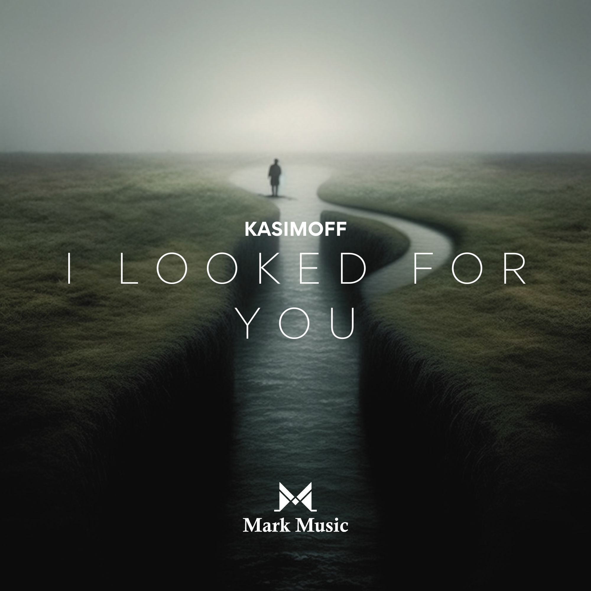 I Looked for You - Single