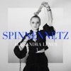 Spinnennetz - Single