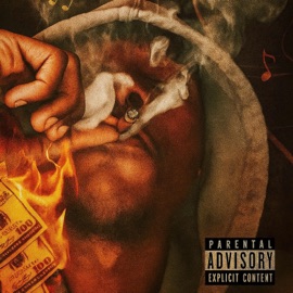 Hate it or Love it (feat. BG4) Winst Santana