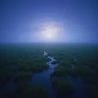 morning rain — endscript, MXRXE