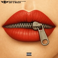 Say 2 Much (feat. Jerome The Prince) - Single - Dillin Hoox