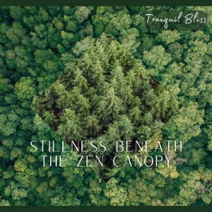 Stillness Beneath the Zen Canopy