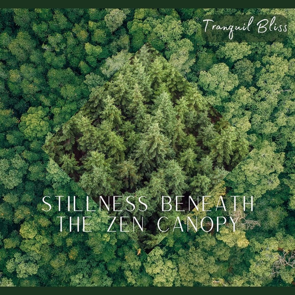 Stillness Beneath the Zen Canopy