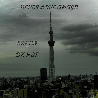never love again (feat. DKHIT) - Single