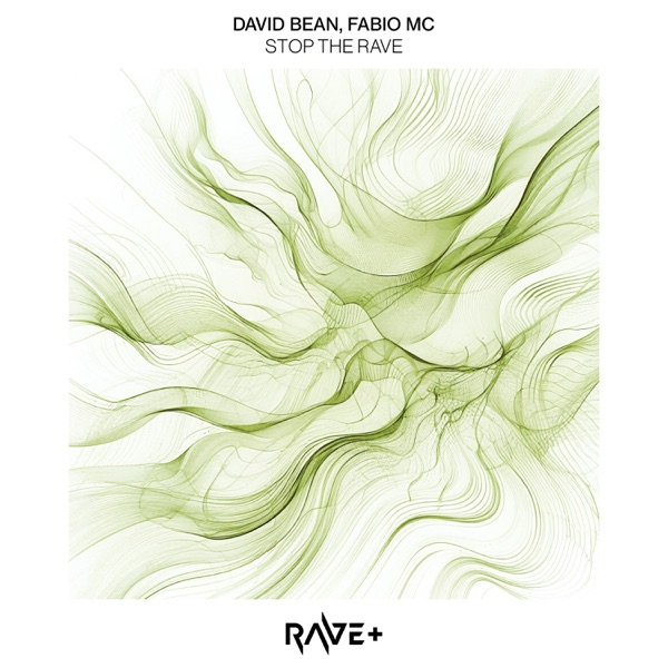 Stop the Rave - Single