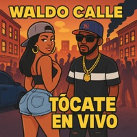Tocate (En Vivo) - Single - Waldo Calle