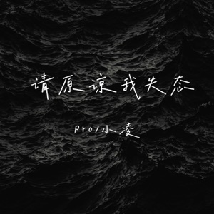 请原谅我失态 - Single