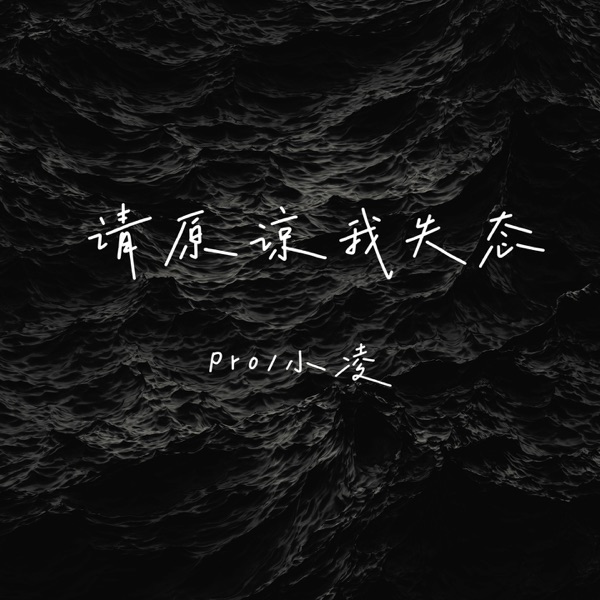 请原谅我失态 - Single