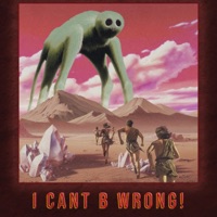 i cant b wrong! - Single - nelward