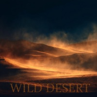 Wild Desert - Single - RHYTMIX, Get Hilz & AMSTERDVM