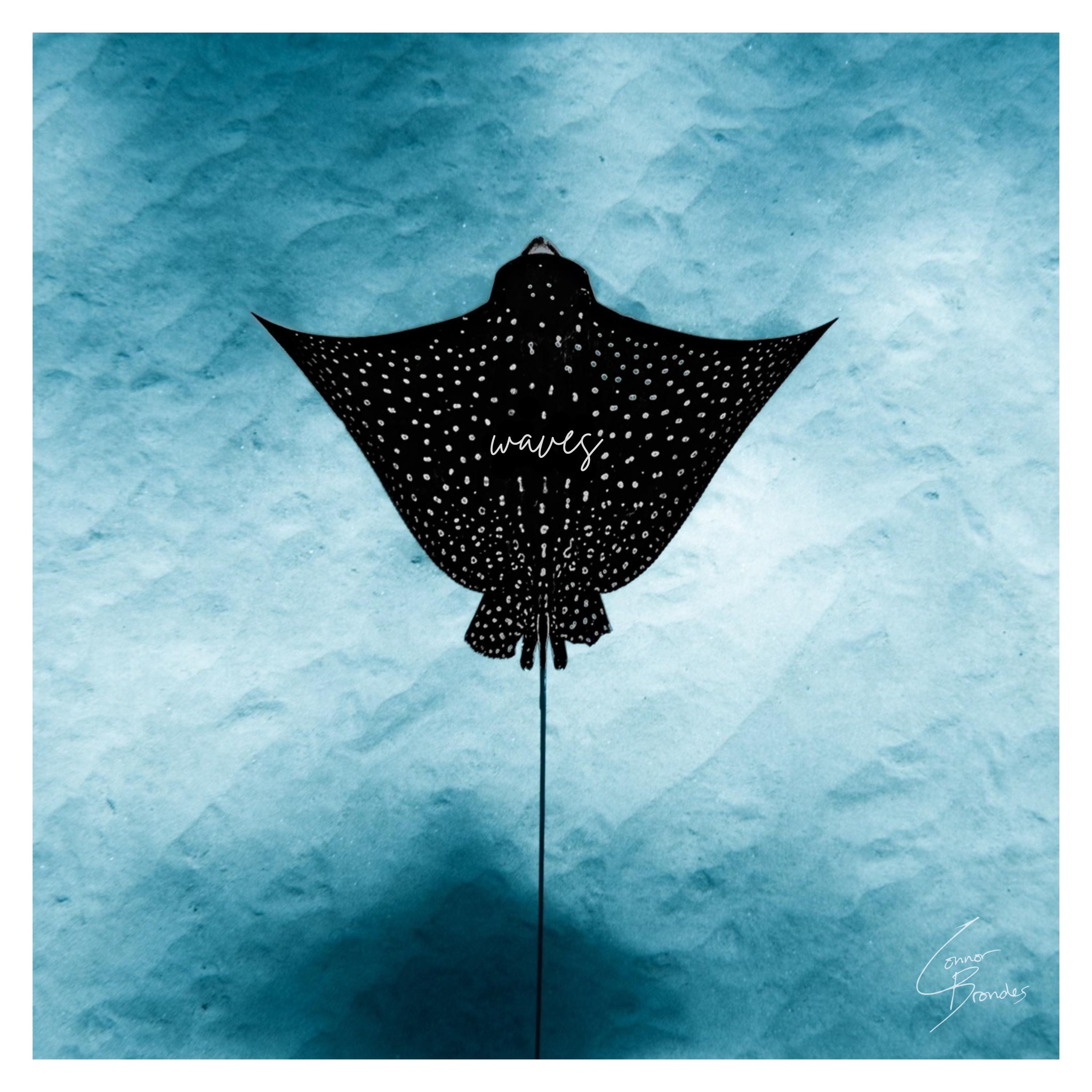 Waves - Single