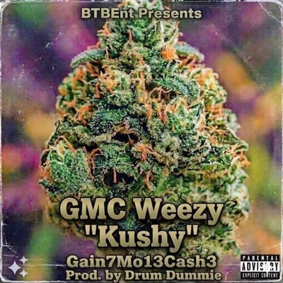 "Kushy' - Single