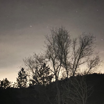 Everyday (feat. Yari) - Single