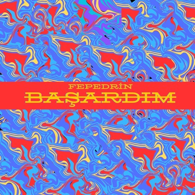 Başardım - Single