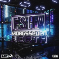 North (feat. M7) - Single - Esha