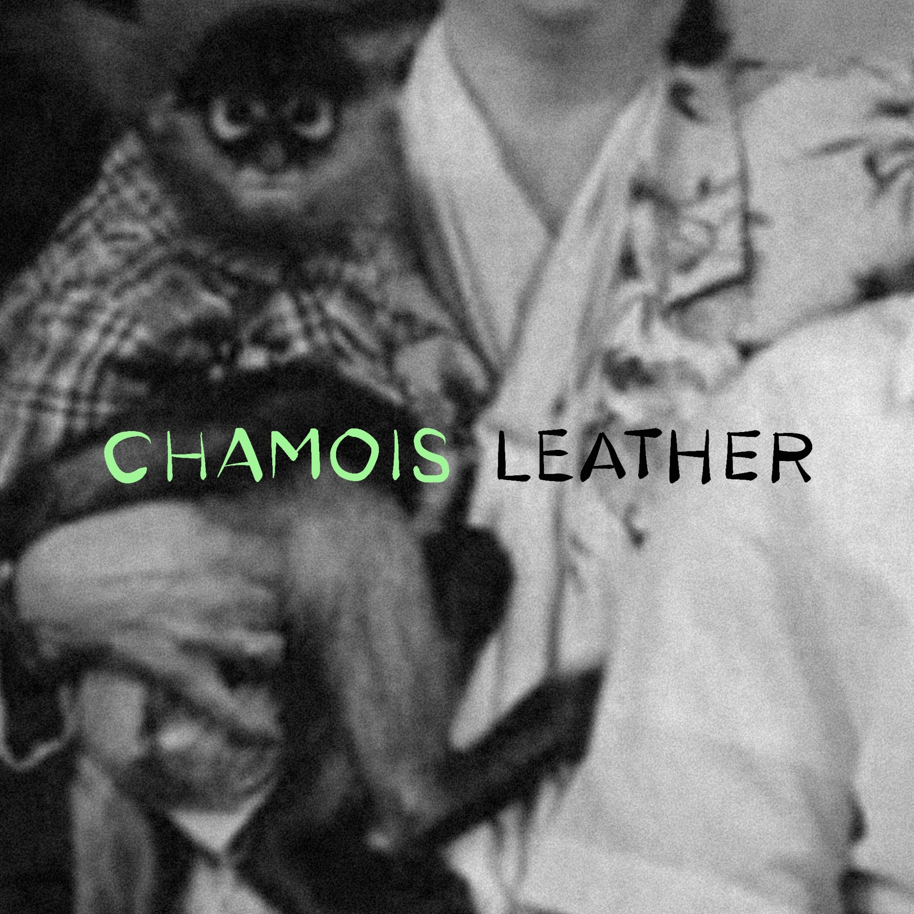 CHAMOIS LEATHER - Single