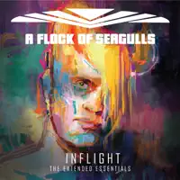 The More You Live The More You Love — A Flock Of Seagulls