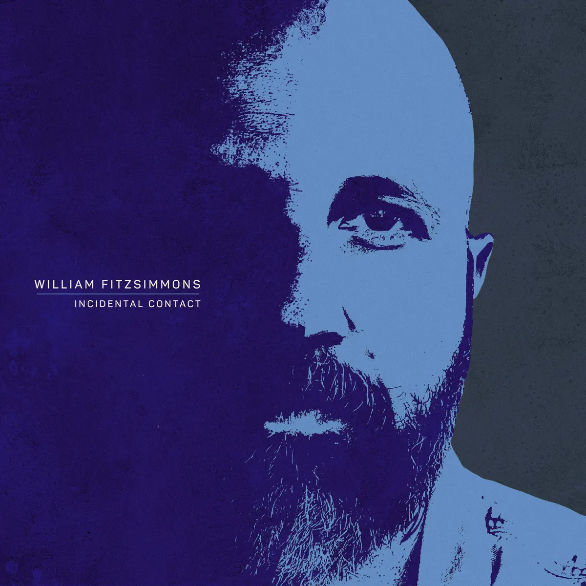 William Fitzsimmons - Incidental Contact (2025) [iTunes Plus AAC M4A]-新房子