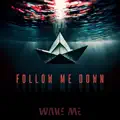 FOLLOW ME DOWN