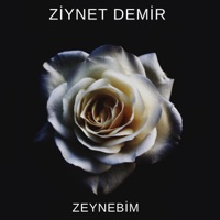 Zeynebim - Single - Ziynet Demir
