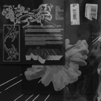 The Swank - Single - Milano