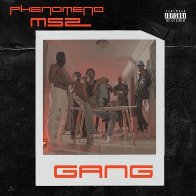 Gang (feat. MENACE SOCIETY 2) - Single