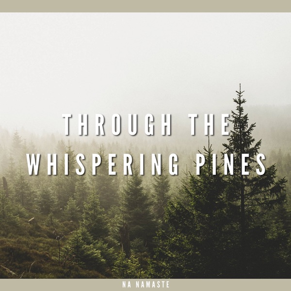 Through the Whispering Pines, on Paths Shrouded in Mist