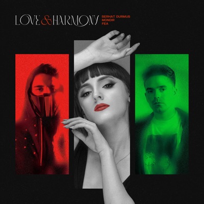 Love & Harmony - Single