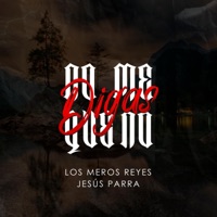 No Me Digas Que No (feat. los meros reyes) - Single - Jesus Parra