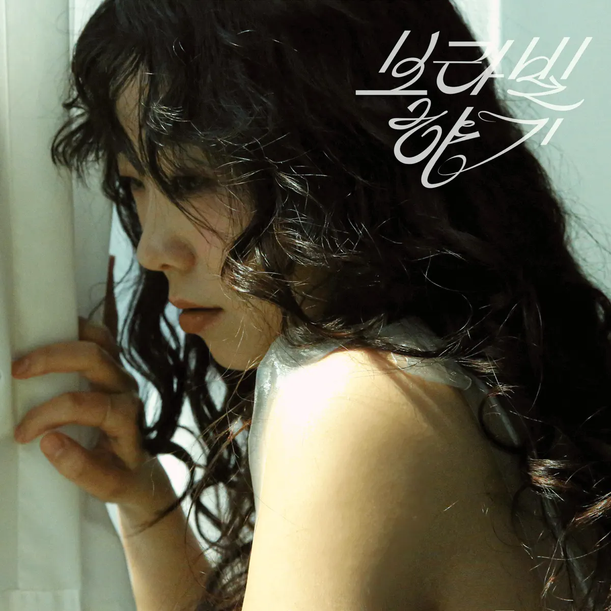 Kim Sawol - Violet Fragrance - Single (2024) [iTunes Plus AAC M4A]-新房子