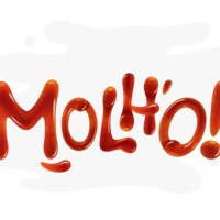Molho - Single - Saint Hills
