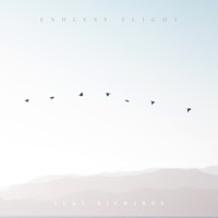 Endless Flight - Luke Richards