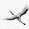 Crane Crane - Single