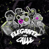 Elegante Pero Calle - Single - Qravi, Los Farandulay & Shortegram