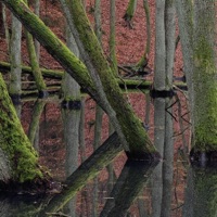 lighter - Single - Sebastian Jautschus