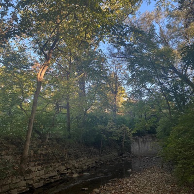 Shawty Loves Me - EP