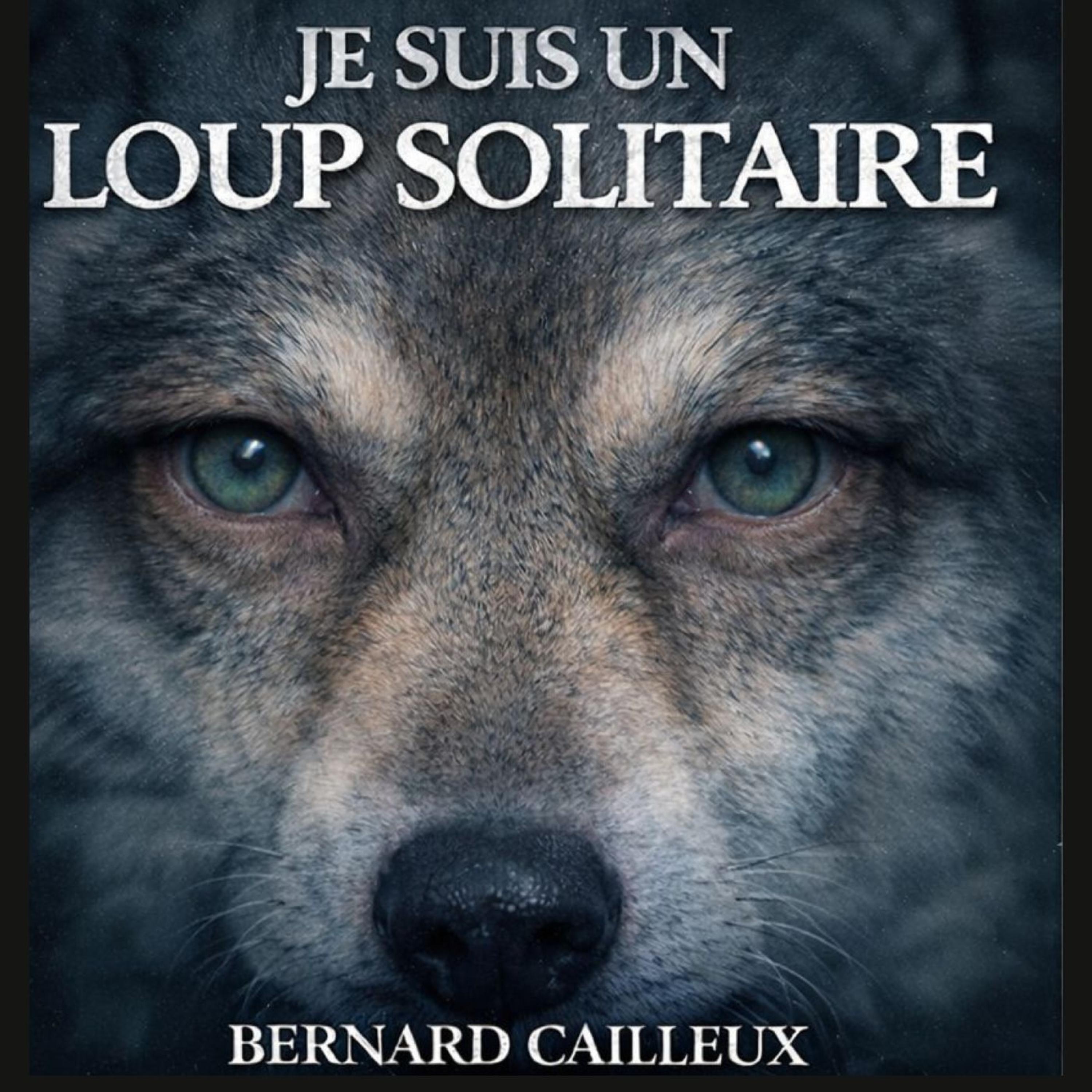 Je suis un loup solitaire - Single