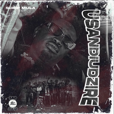 Usandiudzire - Single